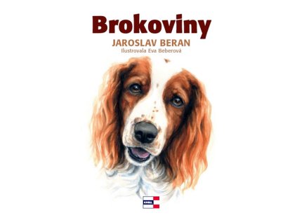 Brokoviny (Stav Nová - lehce poškozená)