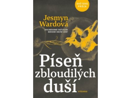 Píseň zbloudilých duší (Stav Nová - lehce poškozená)