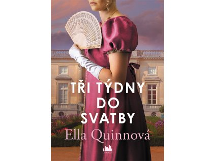 Tři týdny do svatby (Stav Použité zboží - jako nová)