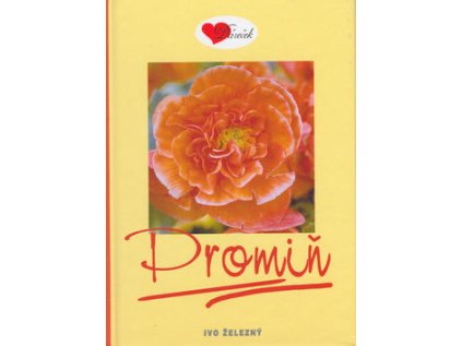 Promiň (Stav Nová - lehce poškozená)