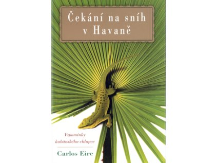 Čekání na sníh v Havaně (Stav Nová - lehce poškozená)