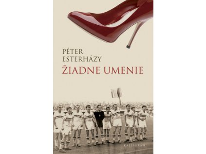 Žiadne umenie (Stav Nová - lehce poškozená)