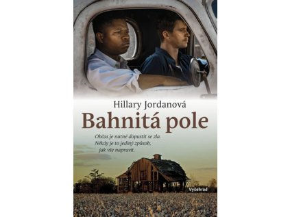 Bahnitá pole (Stav Nová - lehce poškozená)