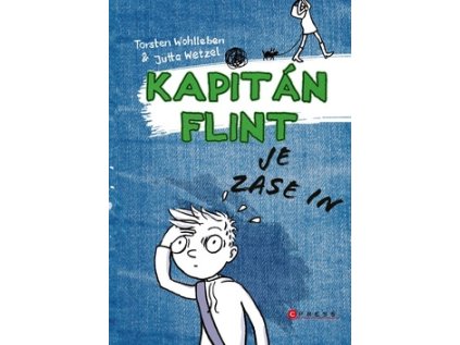Kapitán Flint je zase in (Stav Nová - lehce poškozená)