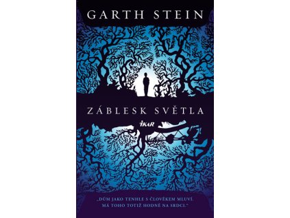Záblesk světla (Stav Nová - lehce poškozená)