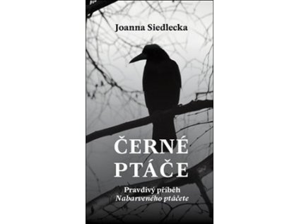 Černé ptáče (Stav Nová - lehce poškozená)