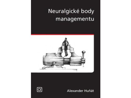 Neuralgické body managementu (Stav Nová - lehce poškozená)