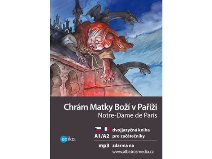 Chrám Matky Boží v Paříži Notre-Dame de Paris (Stav Nová - lehce poškozená)