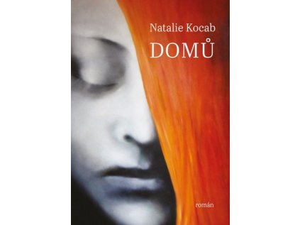 Domů (Stav Nová - lehce poškozená)