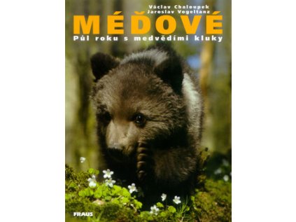 Méďové (Stav Použité zboží - běžné opotřebení)