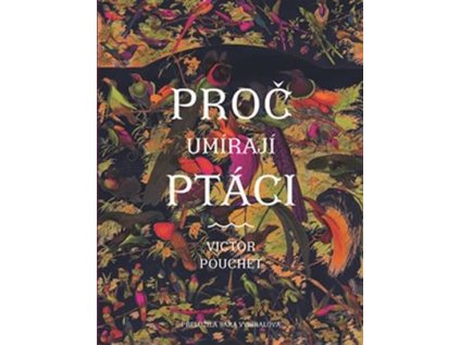 Proč umírají ptáci (Stav Nová - lehce poškozená)