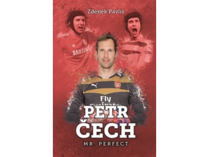 Petr Čech (Stav Nová - lehce poškozená)