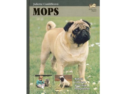Mops (Stav Použité zboží - běžné opotřebení)