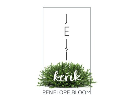 Její keřík (Stav Použité zboží - běžné opotřebení)