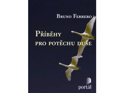 Příběhy pro potěchu duše (Stav Použité zboží - běžné opotřebení)