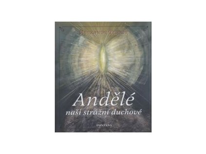 Andělé naši strážní duchové (Stav Použité zboží - jako nová)
