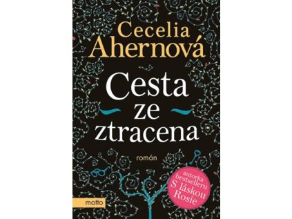 Cesta ze ztracena (Stav Nová - lehce poškozená)