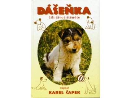 Dášeňka (Stav Použité zboží - běžné opotřebení)