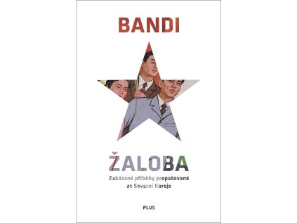 Žaloba (Stav Nová - lehce poškozená)