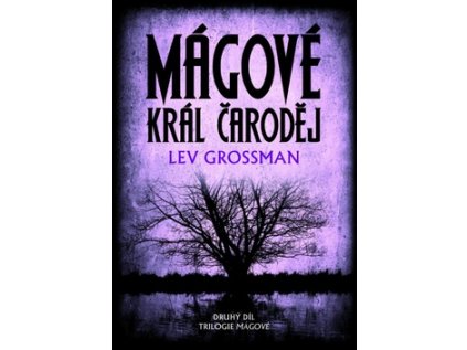 Mágové: král čaroděj