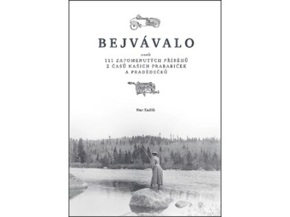 Bejvávalo (Stav Nová - lehce poškozená)