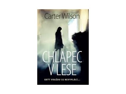 Chlapec v lese (Stav Nová - lehce poškozená)