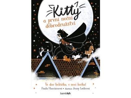 Kitty a první noční dobrodružství (Stav Použité zboží - Jako nová)