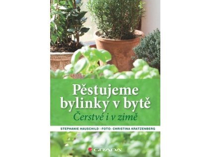 Pěstujeme bylinky v bytě