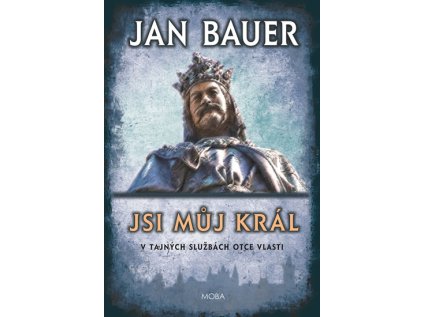 Jsi můj král - V tajných službách otce vlasti (Stav Použité zboží - jako nová)