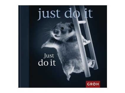 Just do it (Stav Použité zboží, běžné opotřebení)