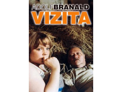 Vizita (Stav Nová)