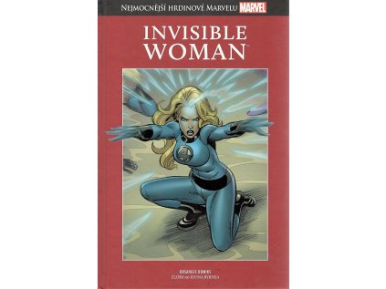 Invisible woman (Stav Nová)
