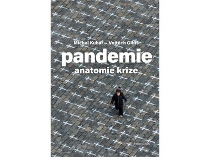 Pandemie: anatomie krize