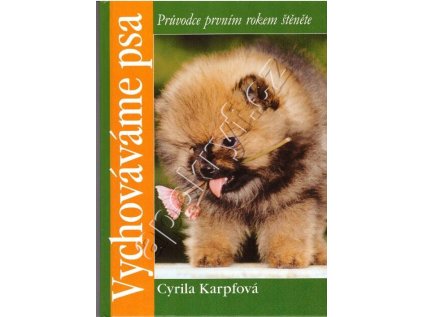Vychováváme psa (Stav Nová - lehce poškozená)