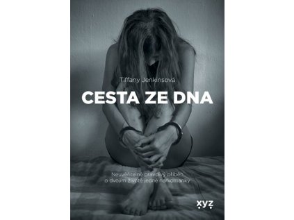 Cesta ze dna (Stav Nová - lehce poškozená)