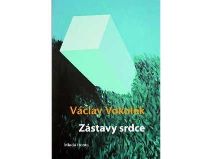 Zástavy srdce (Stav Nová - lehce poškozená)