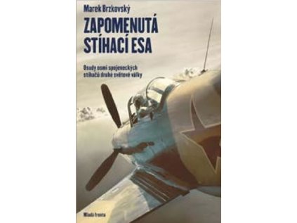 Zapomenutá stíhací esa - Osudy osmi spojeneckých stíhačů druhé světové války (Stav Použité zboží - Jako nová)