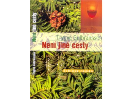 Není jiné cesty (Stav Použité zboží - Běžné opotřebení)