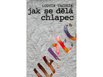 Jak se dělá chlapec (Stav Použité zboží - Běžné opotřebení)