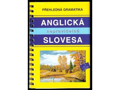Anglická nepravidelná slovesa (Stav Použité zboží - Běžné opotřebení)