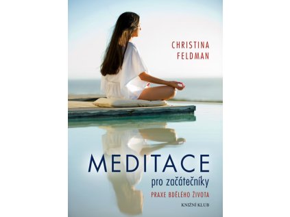 Meditace pro začátečníky - Praxe bdělého života (Stav Použité zboží - Běžné opotřebení)