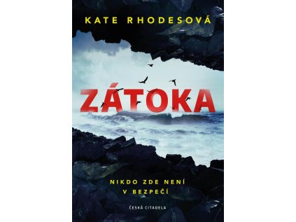 Zátoka (Stav Použité zboží - Běžné opotřebení)