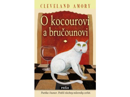 O kocourovi a Bručounovi
