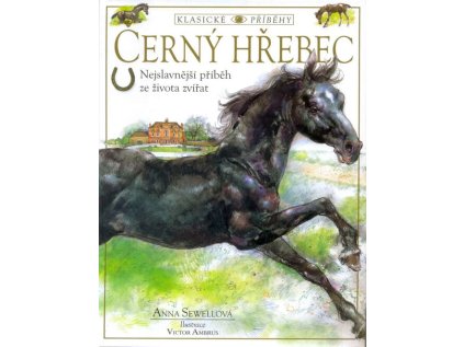 Černý hřebec