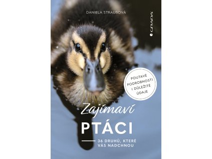 Zajímaví ptáci (Stav Použité zboží - běžné opotřebení)