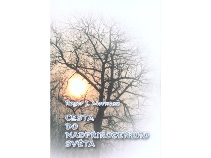 Cesta do nadpřirozeného světa (Stav Použité zboží - Běžné opotřebení)
