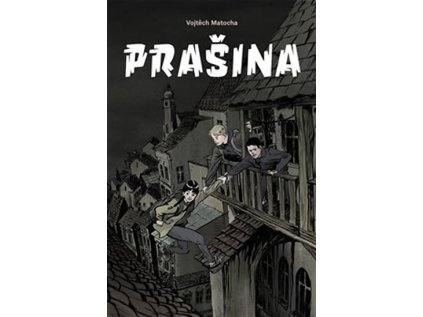 Prašina 1 (Stav Použité zboží - Běžné opotřebení)