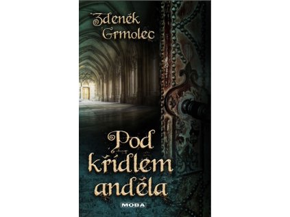 Pod křídlem anděla (Stav Použité zboží - Jako nová)
