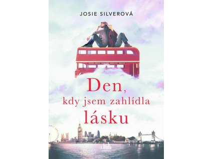 Den, kdy jsem zahlídla lásku (Stav Použité zboží - Jako nová)