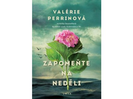 Zapomeňte na neděli (Stav Použité zboží - Jako nová)
